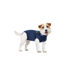 Medical Pet Shirt Hond 41 Medical Pet Shirt Hond -Selecteer Dierenwinkels medical pet shirt hond 167422 1000 none
