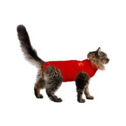 Medical Pet Shirt Kat -Selecteer Dierenwinkels medical pet shirt kat 167401 1000 none