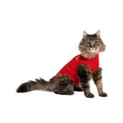 Medical Pet Shirt Kat -Selecteer Dierenwinkels medical pet shirt kat 167407 1000 none