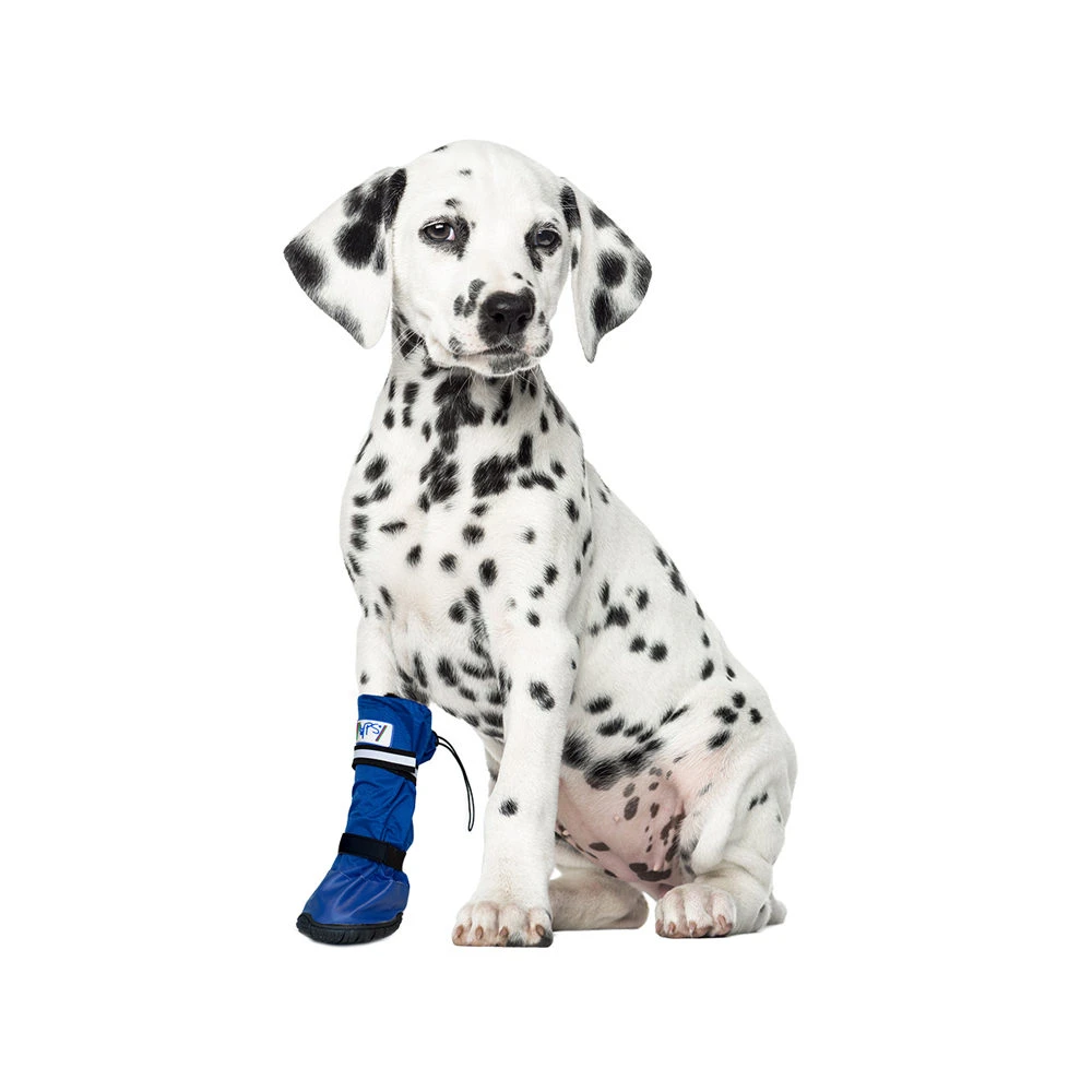 Medical Pet Shirt Boot 11 Medical Pet Shirt Boot - Image 9