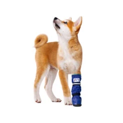 Medical Pet Shirt Boot 26 Medical Pet Shirt Boot -Selecteer Dierenwinkels medical pets boot 167479 1000 none