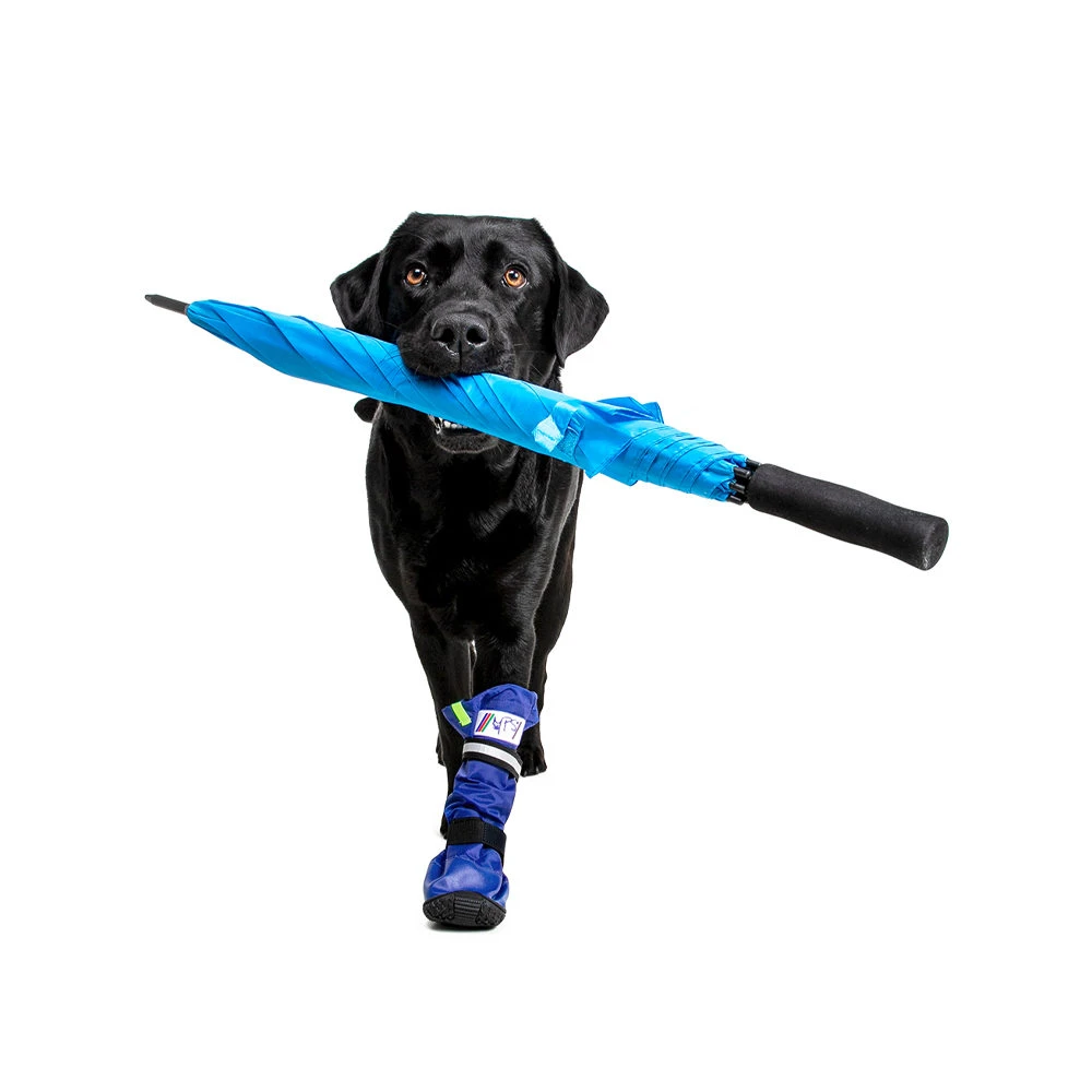 Medical Pet Shirt Boot 12 Medical Pet Shirt Boot - Image 10