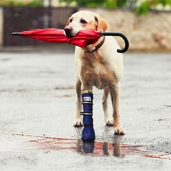 Medical Pet Shirt Boot 34 Medical Pet Shirt Boot -Selecteer Dierenwinkels medical pets boot 167512 0500 none