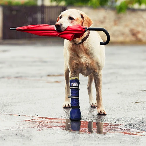 Medical Pet Shirt Boot 18 Medical Pet Shirt Boot - Image 16