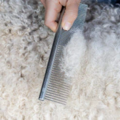 Mikki Doodle Comb 10 Mikki Doodle Comb -Selecteer Dierenwinkels mikki doodle comb 194447 2000 none