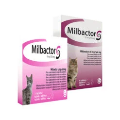 Milbactor Kat -Selecteer Dierenwinkels milbactor kat 176962 1000 none