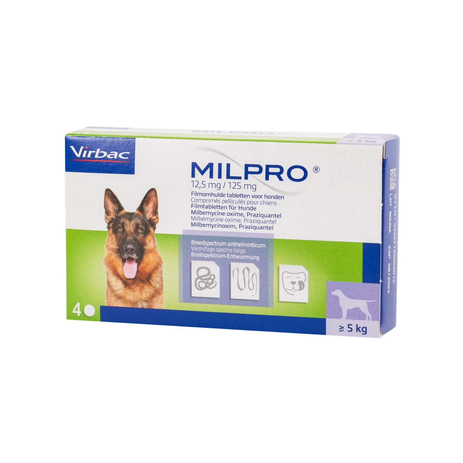 Milpro Hond 6 Milpro Hond - Image 4