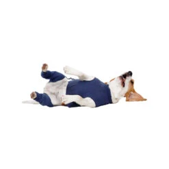 MPS-HLS Achterpootmouwtjes -Selecteer Dierenwinkels mps hls achterpootmouwtjes 167440 1000 none