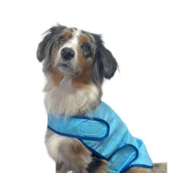 Nobby Cooling Vest 13 Nobby Cooling Vest -Selecteer Dierenwinkels nobby cooling vest 222498 1000 none