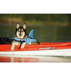 Nobby Sharki Hondenzwemvest 29 Nobby Sharki Hondenzwemvest -Selecteer Dierenwinkels nobby sharki hondenzwemvest 221666 1000 none