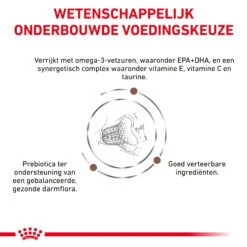 Royal Canin Fibre Response Kat -Selecteer Dierenwinkels nyI6vuiTbPWeLQqTv2cH7zjGmUvKe5 metaR0FTVFJPSU5URVNUSU5BTC1GSUJSRS1SRVNQT05TRS00LmpwZw