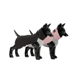 PAIKKA Recovery Winter Shirt -Selecteer Dierenwinkels paikka recovery winter shirt 217785 2000 none