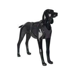 PAIKKA Visibility Harness -Selecteer Dierenwinkels paikka visibility harness dark m 134559 2000 none