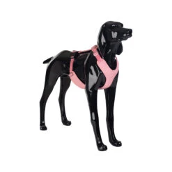 PAIKKA Visibility Harness -Selecteer Dierenwinkels paikka visibility harness pink m 134560 2000 none