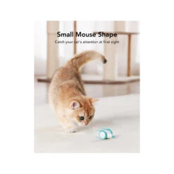 Petlibro Pixie Mouse -Selecteer Dierenwinkels petlibro pixie mouse 221373 2000 none