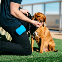 Popware Pooch Pouch Treatbag -Selecteer Dierenwinkels popware pooch pouch treatbag 164698 2000 none