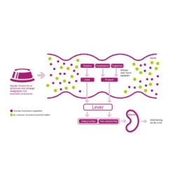 Porus One 17 Porus One -Selecteer Dierenwinkels porus one 134455 1000 none