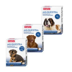 Beaphar Milquestra Hond -Selecteer Dierenwinkels product beaphar milquestra hond none 4 1463566026 68931
