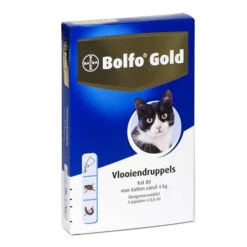Bolfo Gold Kat -Selecteer Dierenwinkels product bolfo gold kat none 4 1467098447 70455