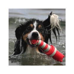 Rogz Lighthouse -Selecteer Dierenwinkels product rogz lighthouse none 4 1485526267 82936