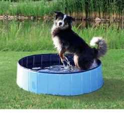 Trixie Dog Pool 26 Trixie Dog Pool -Selecteer Dierenwinkels product trixie dog pool none 4 1495792779 86689