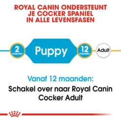 Royal Canin Cocker Puppy - Hondenvoer 17 Royal Canin Cocker Puppy - Hondenvoer -Selecteer Dierenwinkels royal canin cocker puppy hondenvoer 138205 1000 none