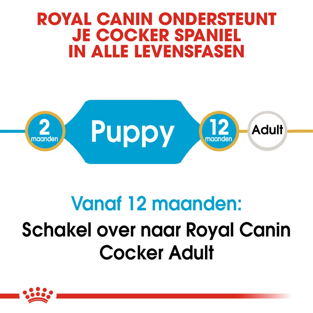 Royal Canin Cocker Puppy - Hondenvoer 8 Royal Canin Cocker Puppy - Hondenvoer - Image 6