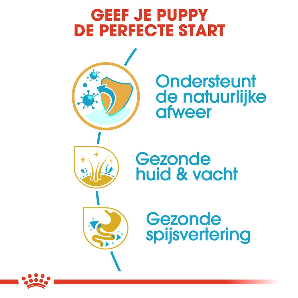 Royal Canin Cocker Puppy - Hondenvoer 5 Royal Canin Cocker Puppy - Hondenvoer - Image 3