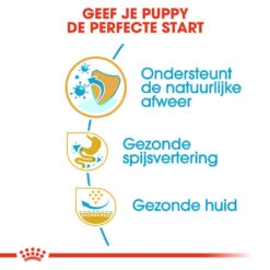 Royal Canin French Bulldog Puppy - Hondenvoer -Selecteer Dierenwinkels royal canin french bulldog puppy hondenvoer 138715 1000 none