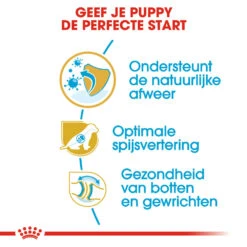 Royal Canin German Shepherd Puppy- Hondenvoer -Selecteer Dierenwinkels royal canin german shepherd puppy hondenvoer 138835 1000 none