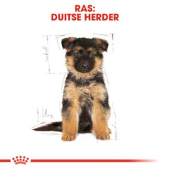 Royal Canin German Shepherd Puppy- Hondenvoer -Selecteer Dierenwinkels royal canin german shepherd puppy hondenvoer 138844 1000 none