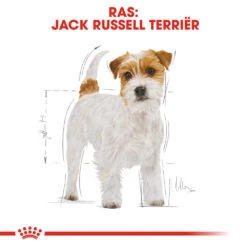 Royal Canin Jack Russell Terrier Adult - Hondenvoer 19 Royal Canin Jack Russell Terrier Adult - Hondenvoer -Selecteer Dierenwinkels royal canin jack russell terrier adult hondenvoer 139066 1000 none
