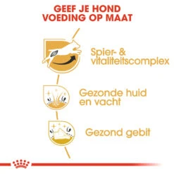 Royal Canin Jack Russell Terrier Adult - Hondenvoer 17 Royal Canin Jack Russell Terrier Adult - Hondenvoer -Selecteer Dierenwinkels royal canin jack russell terrier adult hondenvoer 139087 1000 none