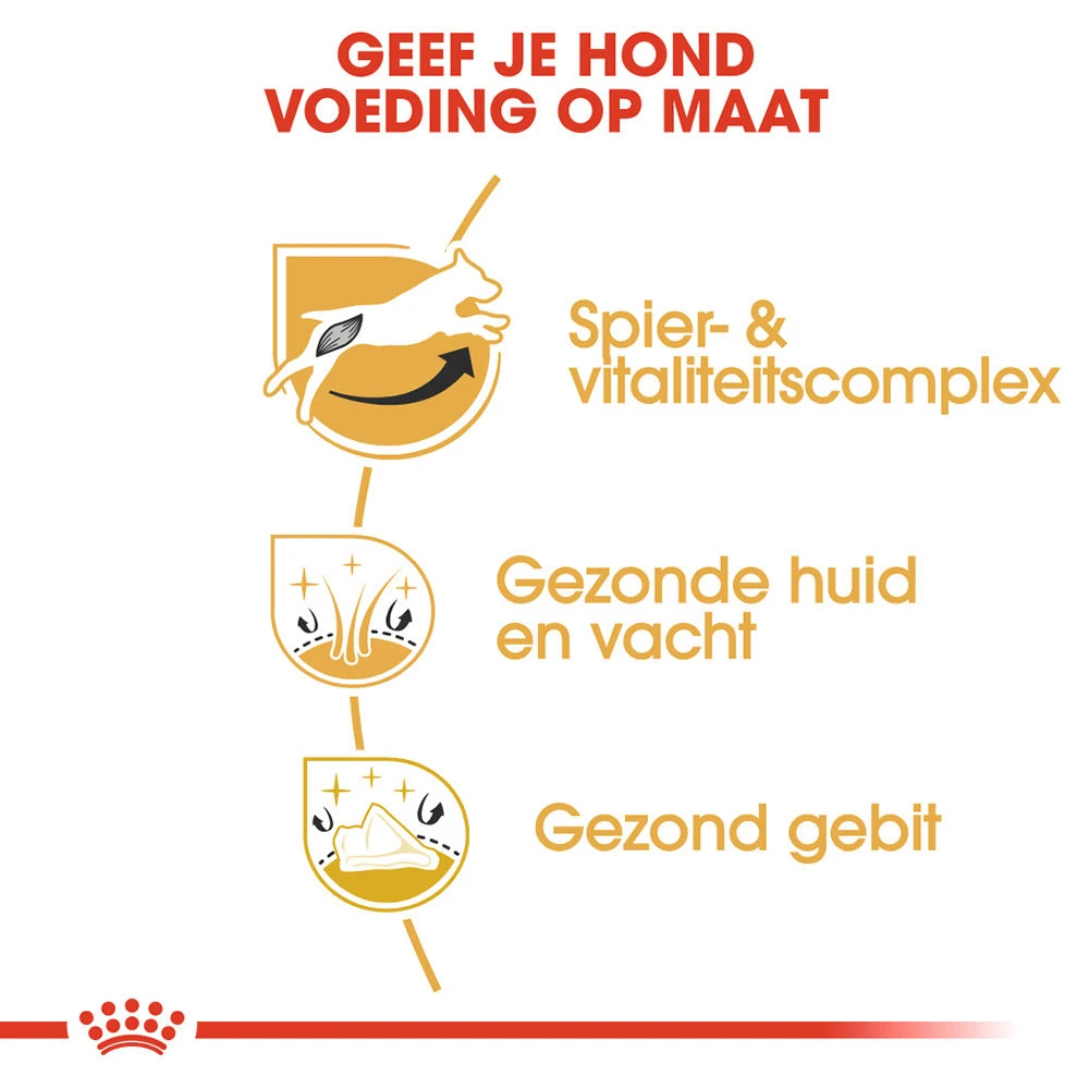 Royal Canin Jack Russell Terrier Adult - Hondenvoer 7 Royal Canin Jack Russell Terrier Adult - Hondenvoer - Image 5