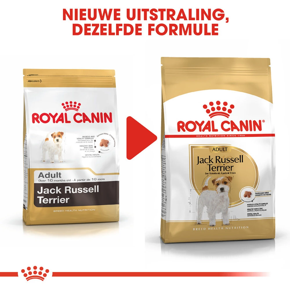 Royal Canin Jack Russell Terrier Adult - Hondenvoer 10 Royal Canin Jack Russell Terrier Adult - Hondenvoer - Image 8