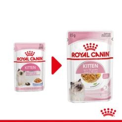 Royal Canin Kitten In Jelly - Kattenvoer 17 Royal Canin Kitten In Jelly - Kattenvoer -Selecteer Dierenwinkels royal canin kitten in jelly kattenvoer 207116 2000 none