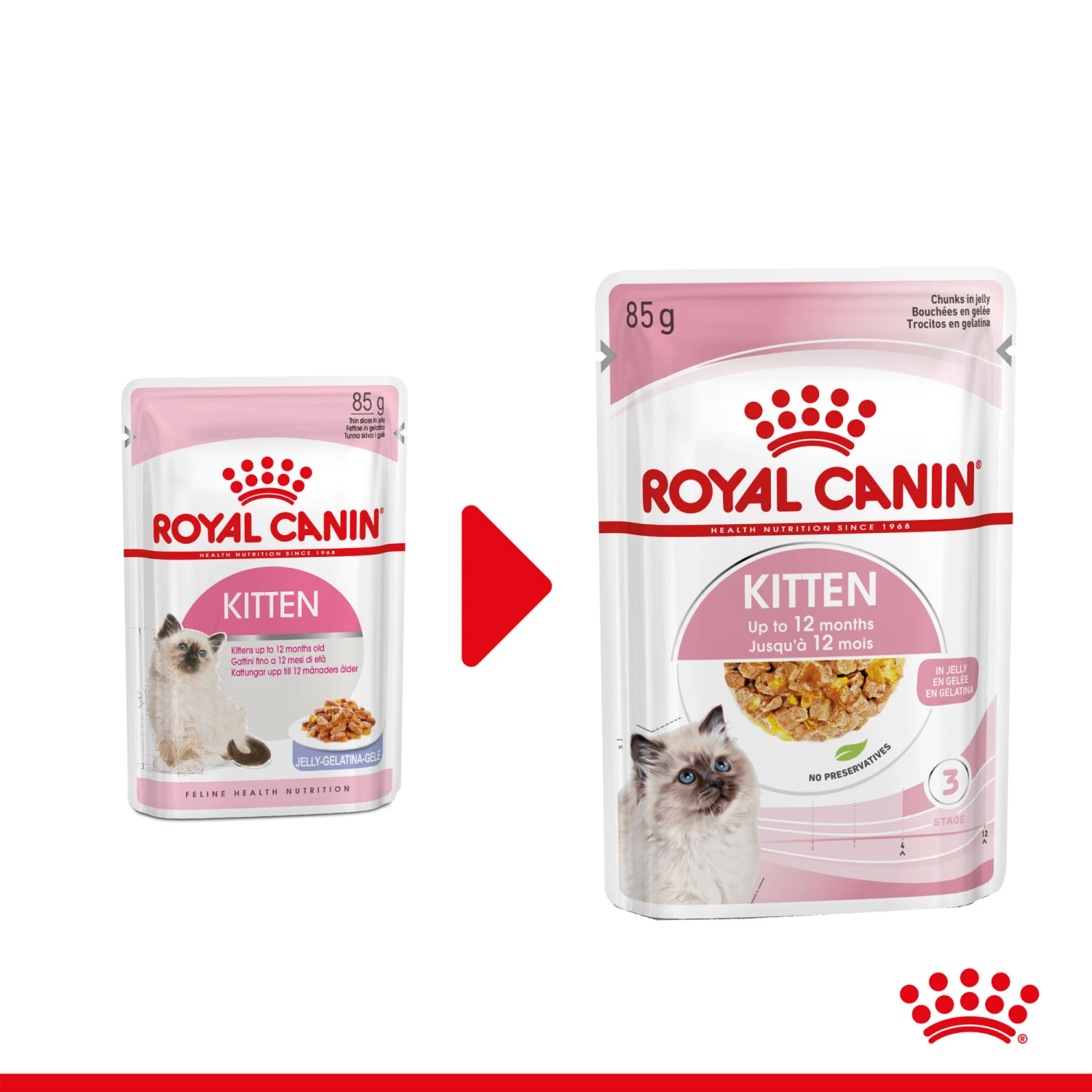 Royal Canin Kitten In Jelly - Kattenvoer 5 Royal Canin Kitten In Jelly - Kattenvoer - Image 3