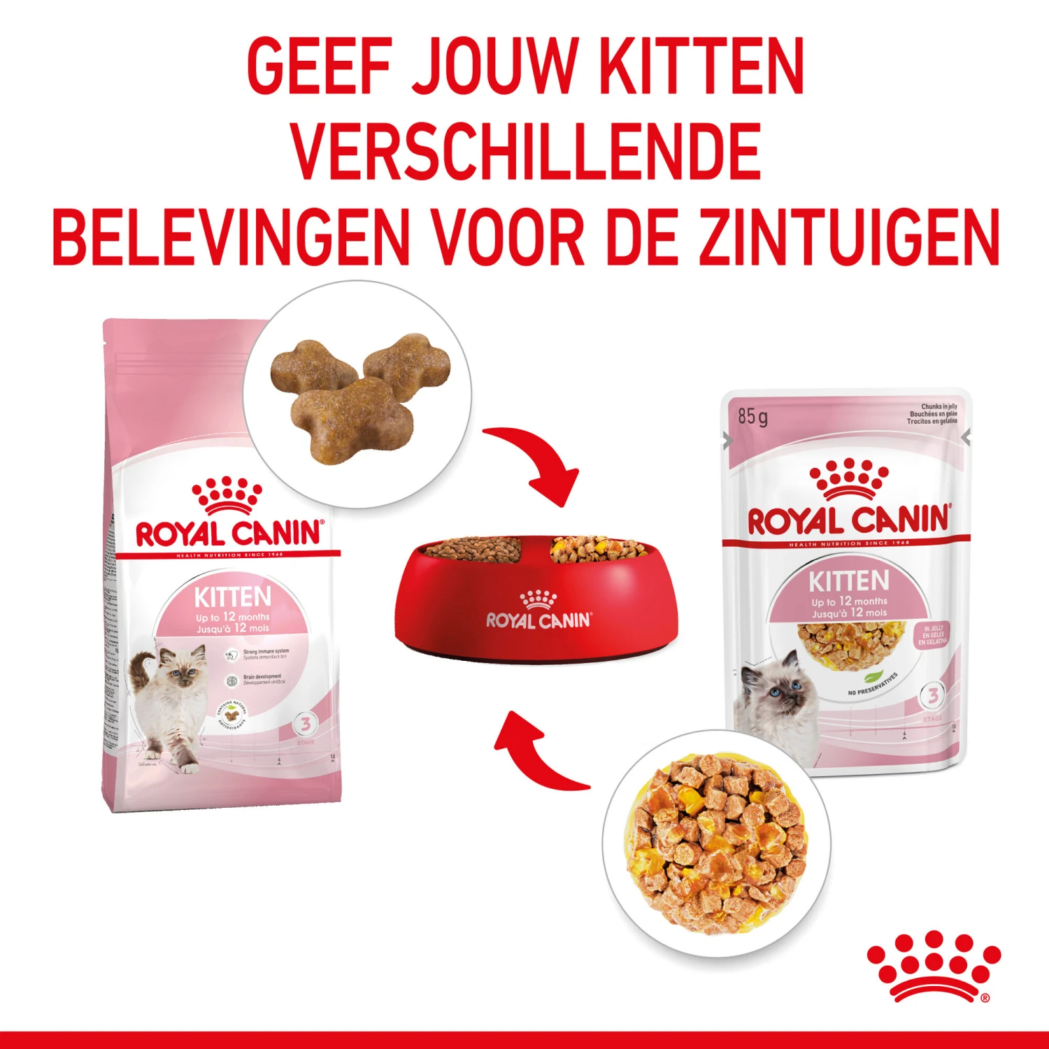 Royal Canin Kitten In Jelly - Kattenvoer 7 Royal Canin Kitten In Jelly - Kattenvoer - Image 5