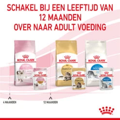 Royal Canin Kitten In Jelly - Kattenvoer 25 Royal Canin Kitten In Jelly - Kattenvoer -Selecteer Dierenwinkels royal canin kitten in jelly kattenvoer 207131 2000 none