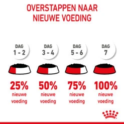 Royal Canin Kitten In Jelly - Kattenvoer 21 Royal Canin Kitten In Jelly - Kattenvoer -Selecteer Dierenwinkels royal canin kitten in jelly kattenvoer 207134 2000 none