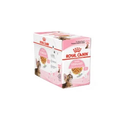 Royal Canin Kitten Sterilised In Jelly - Maaltijdzakje -Selecteer Dierenwinkels royal canin kitten sterilised in jelly kattenvoer 201965 1500 none