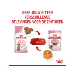 Royal Canin Kitten Sterilised In Jelly - Maaltijdzakje -Selecteer Dierenwinkels royal canin kitten sterilised in jelly maaltijdzakje 207212 2000 none