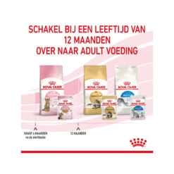 Royal Canin Kitten Sterilised In Jelly - Maaltijdzakje -Selecteer Dierenwinkels royal canin kitten sterilised in jelly maaltijdzakje 207221 2000 none