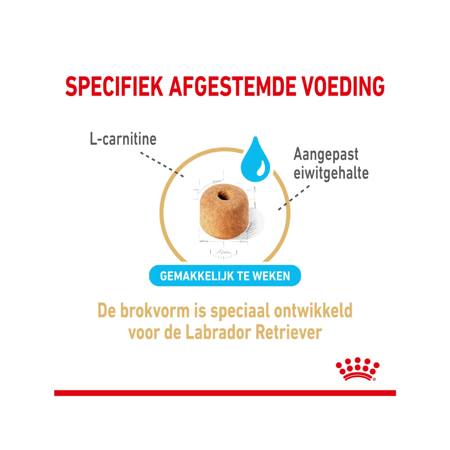 Royal Canin Labrador Retriever Adult 5+ 7 Royal Canin Labrador Retriever Adult 5+ - Image 5