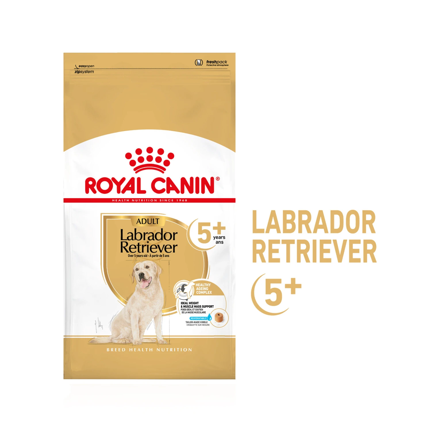 Royal Canin Labrador Retriever Adult 5+ 5 Royal Canin Labrador Retriever Adult 5+ - Image 3