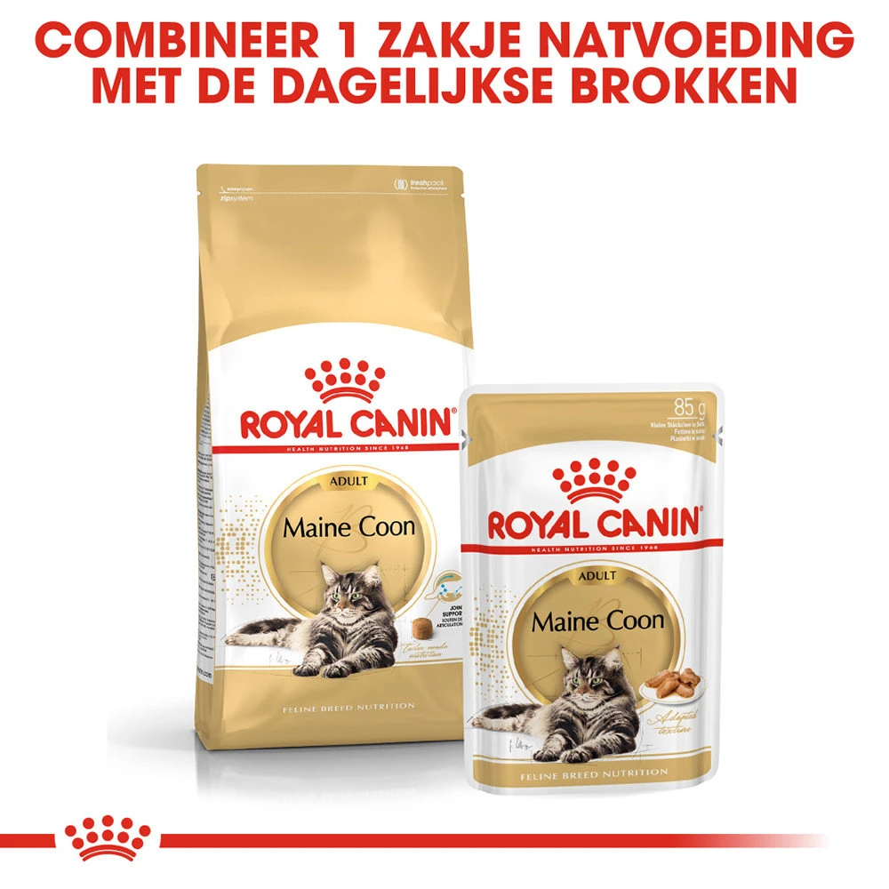 Royal Canin Maine Coon Adult Wet - Kattenvoer 8 Royal Canin Maine Coon Adult Wet - Kattenvoer - Image 6