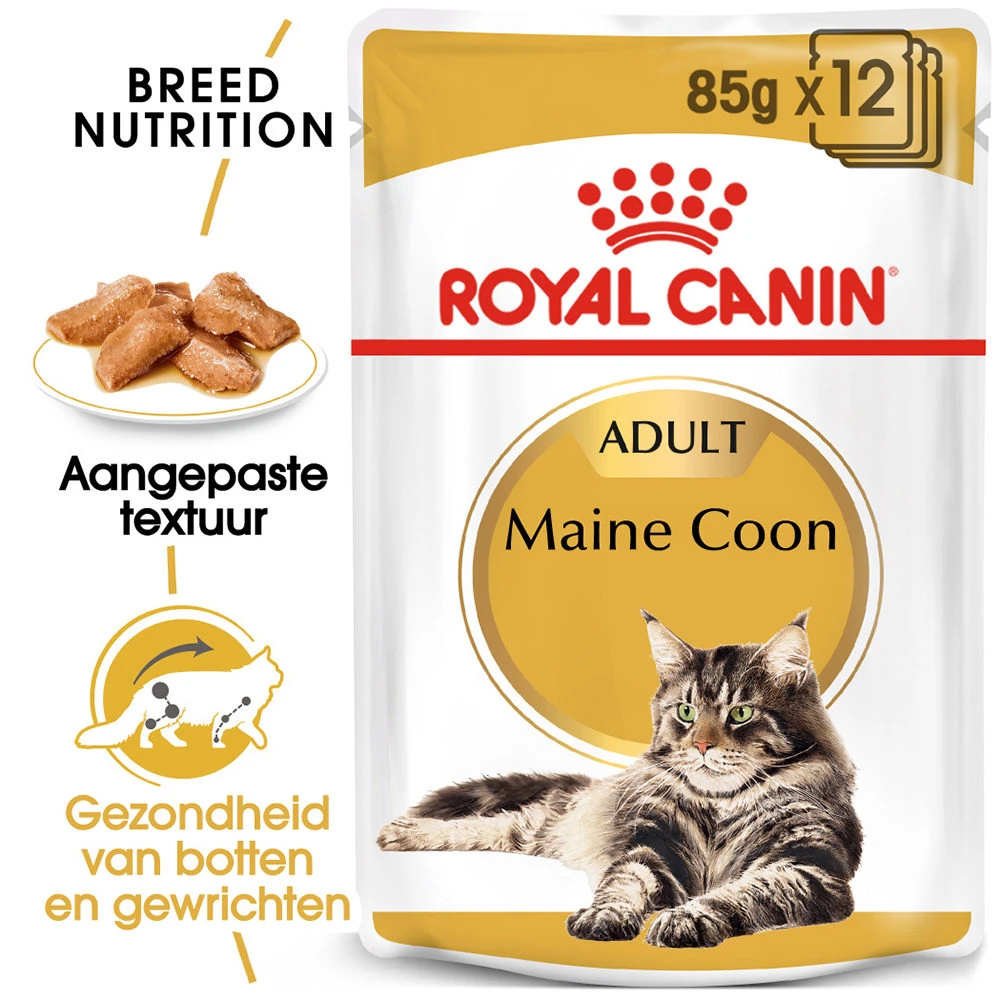 Royal Canin Maine Coon Adult Wet - Kattenvoer 4 Royal Canin Maine Coon Adult Wet - Kattenvoer - Image 2
