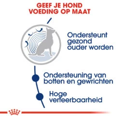 Royal Canin Maxi Ageing 8+ - Hondenvoer -Selecteer Dierenwinkels royal canin maxi ageing 8 hondenvoer 128711 1000 none