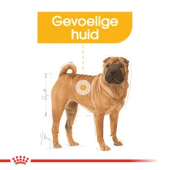 Royal Canin Medium Dermacomfort - Hondenvoer 15 Royal Canin Medium Dermacomfort - Hondenvoer -Selecteer Dierenwinkels royal canin medium dermacomfort hondenvoer 143279 1000 none