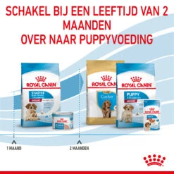 Royal Canin Medium Starter Mother & Babydog - Hondenvoer 21 Royal Canin Medium Starter Mother & Babydog - Hondenvoer -Selecteer Dierenwinkels royal canin medium starter mother babydog hondenvoer 206909 2000 none